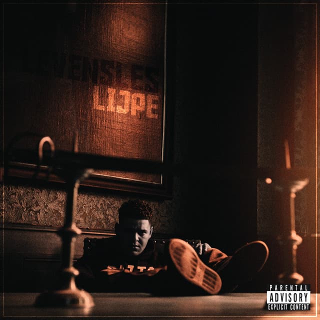 Accepteren cover art