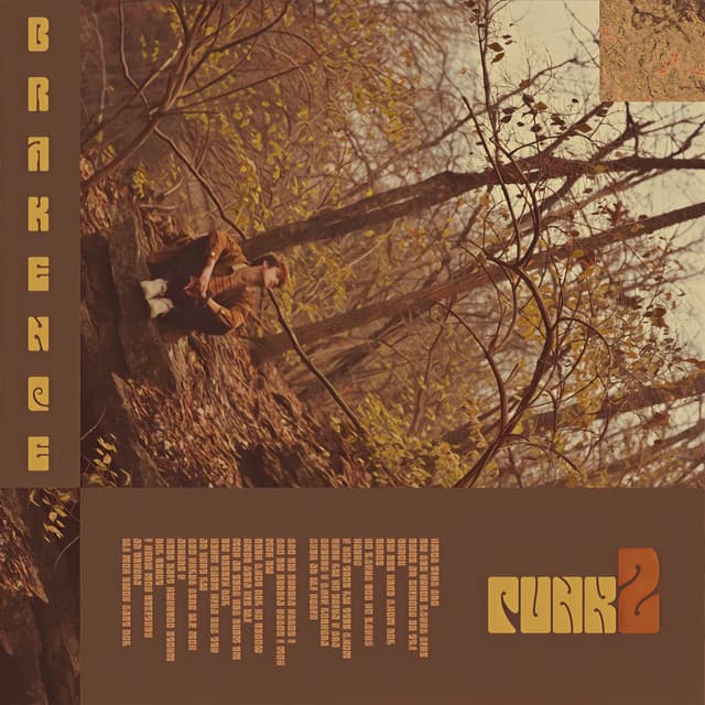 rosier/punk2 cover art