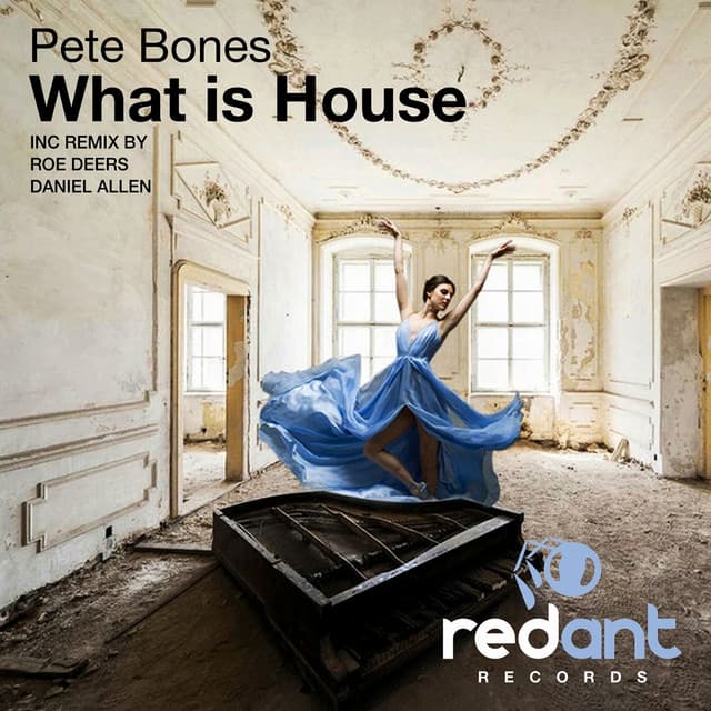 What Is House - Roe Deers Remix cover art