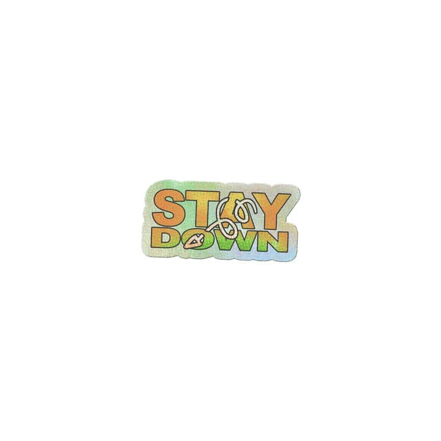 STAY DOWN cover art