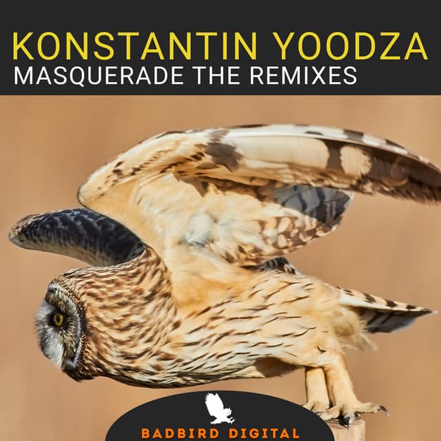 Masquerade - Badbird Remix cover art