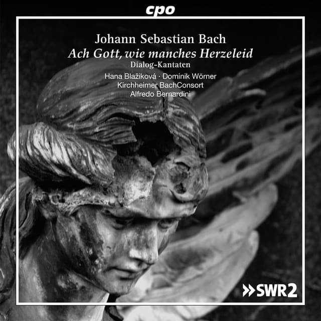 J.S. Bach: Dialog-Kantaten cover art