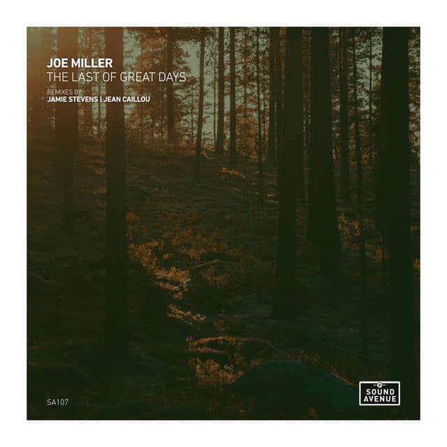 The Last of the Great Days - Jamie Stevens Remix cover art