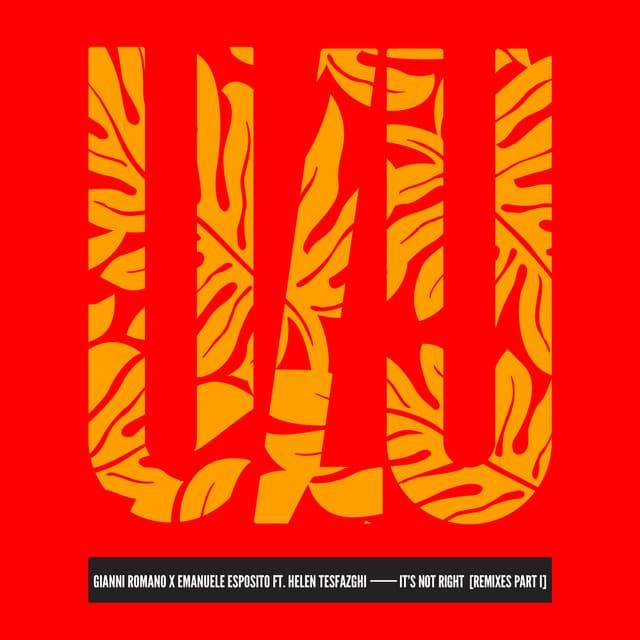 It's Not Right - The Deepshakerz Edit cover art