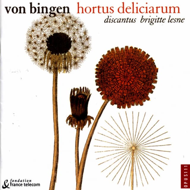 O Rubor Sanguinis: Antienne cover art
