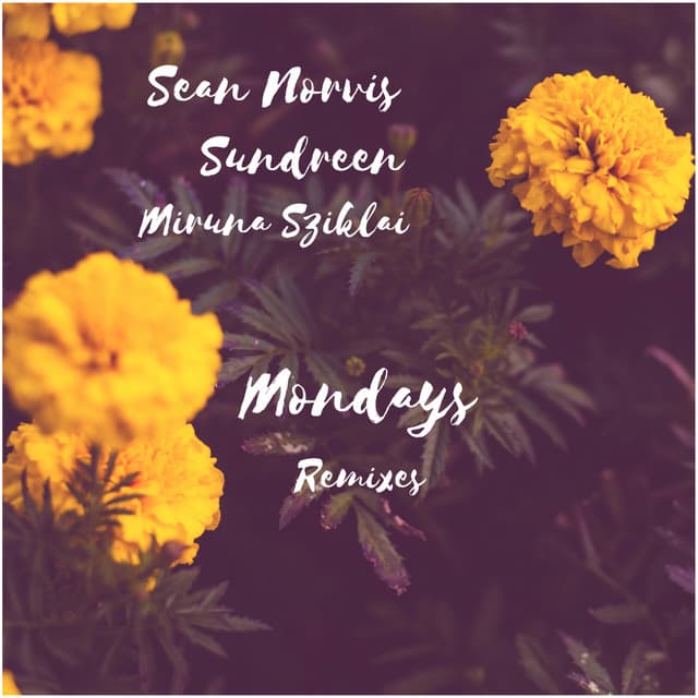 Mondays - Stephano Rossi Radio Edit cover art