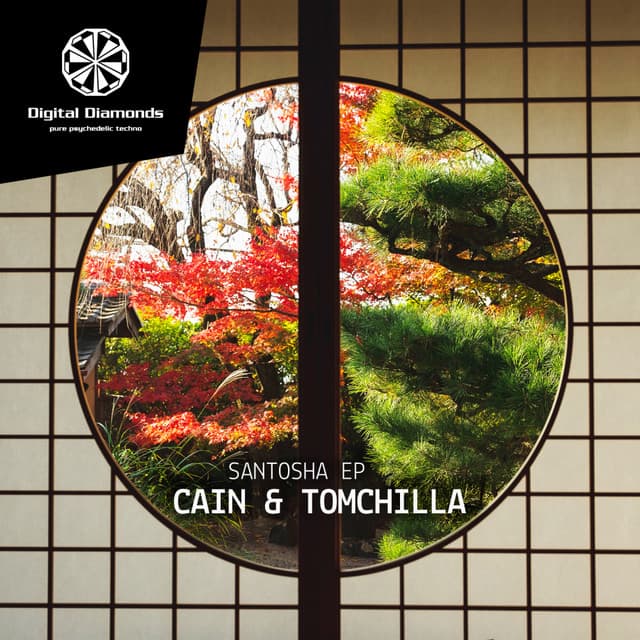 Santosha - Andertwin Remix cover art