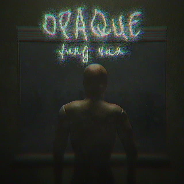 OPAQUE cover art
