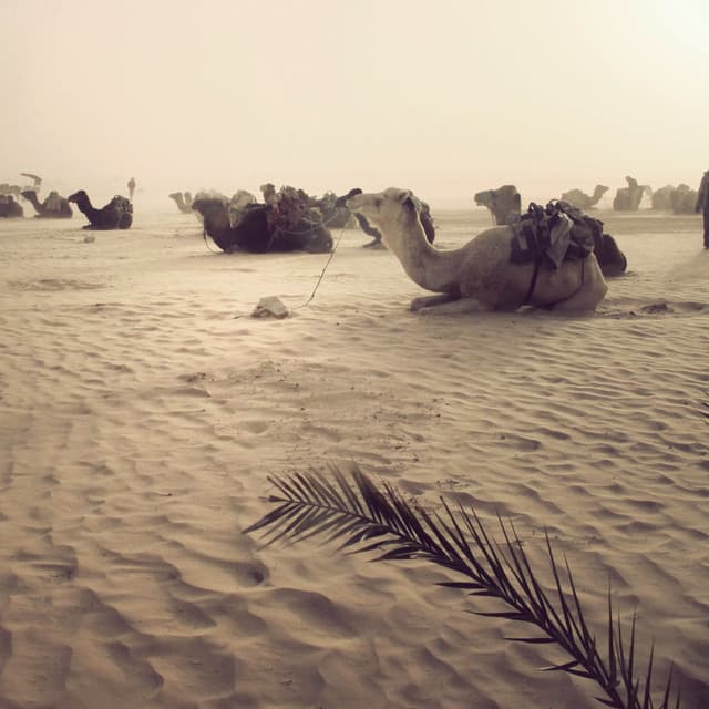 We Can Go Everywhere cover art