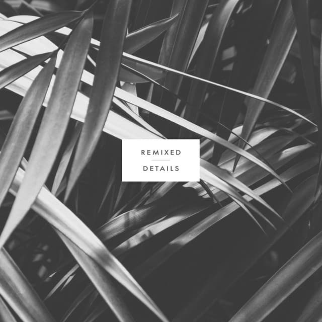 Remixed Details cover art