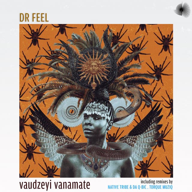 Vaudzeyi Vanamate - Native Tribe & Da Q-Bic Inhuman's Remix cover art