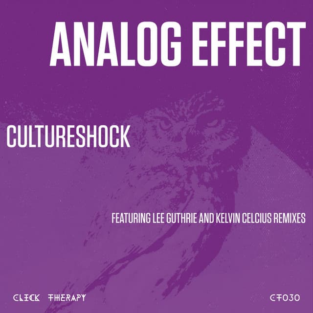 Culture Shock - Kelvin Celcius Remix cover art