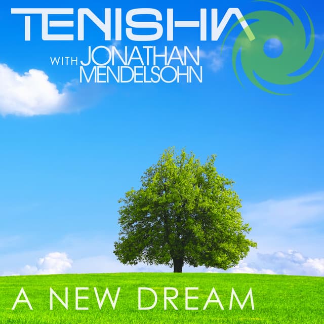 A New Dream - Acoustic Version cover art