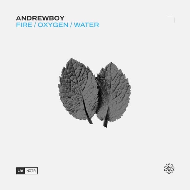 Fire cover art