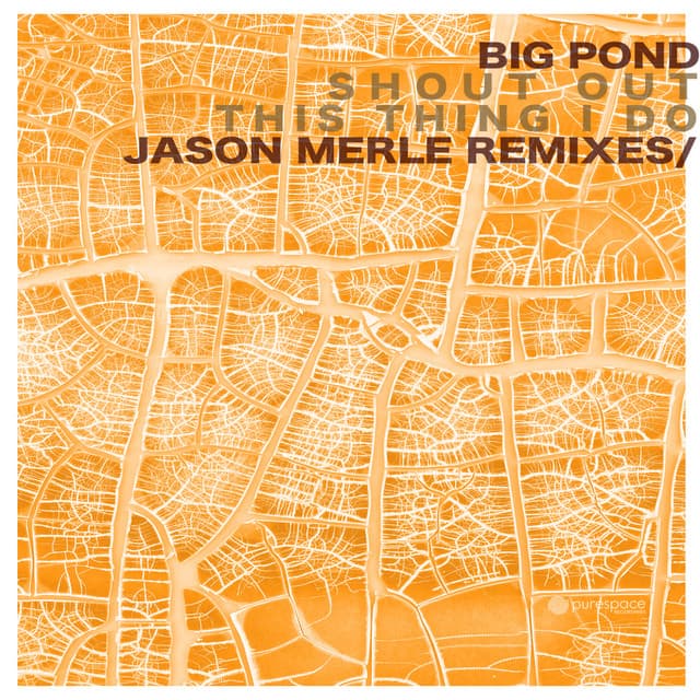 Shout Out - Jason Merle's Remix cover art