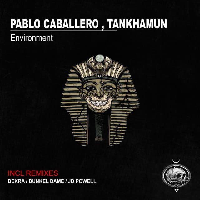 Environment cover art