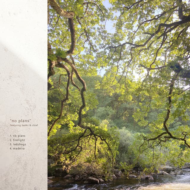 madeira cover art