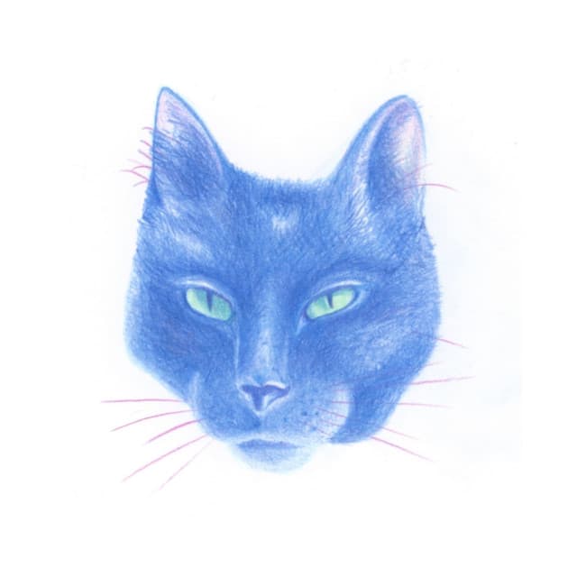 Hypernormal cover art