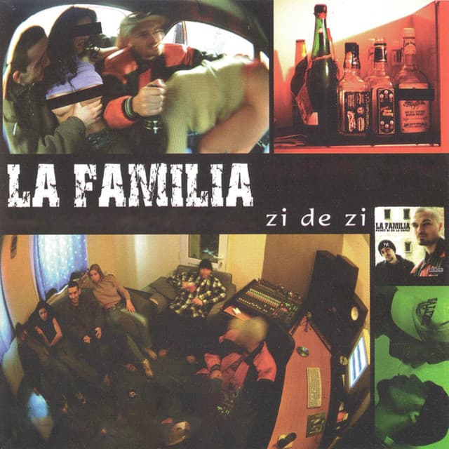 Zi de zi cover art