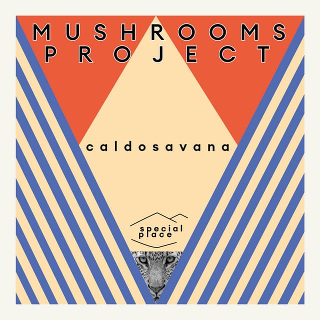Caldosavana - Longhair Remix cover art