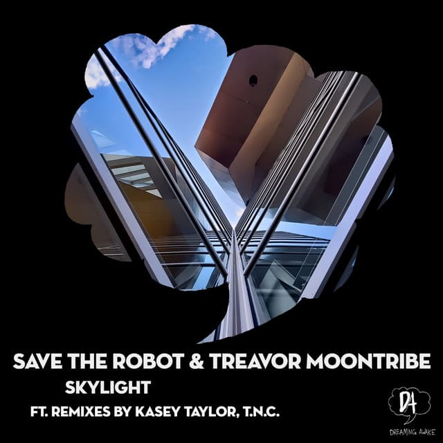 Skylight - T.N.C. Remix cover art