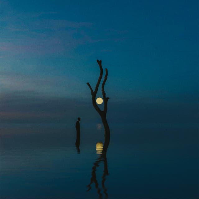 Shades of You (feat. Henry Green) - Tor Remix cover art