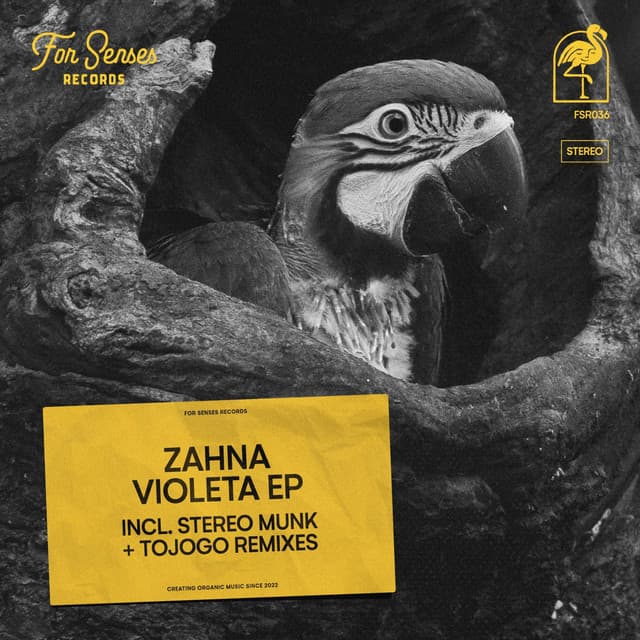 Violeta - Tojogo Remix cover art