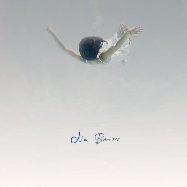 Bruises cover art