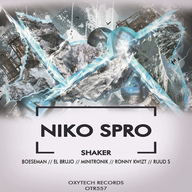 Shaker - Ronny Kwizt Remix cover art