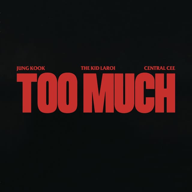 TOO MUCH cover art