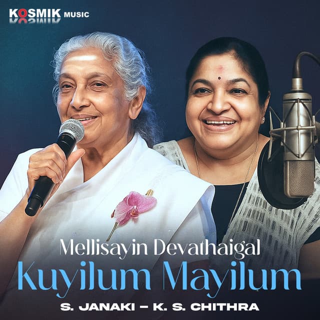 Naa Pudikkum Mapilatha cover art