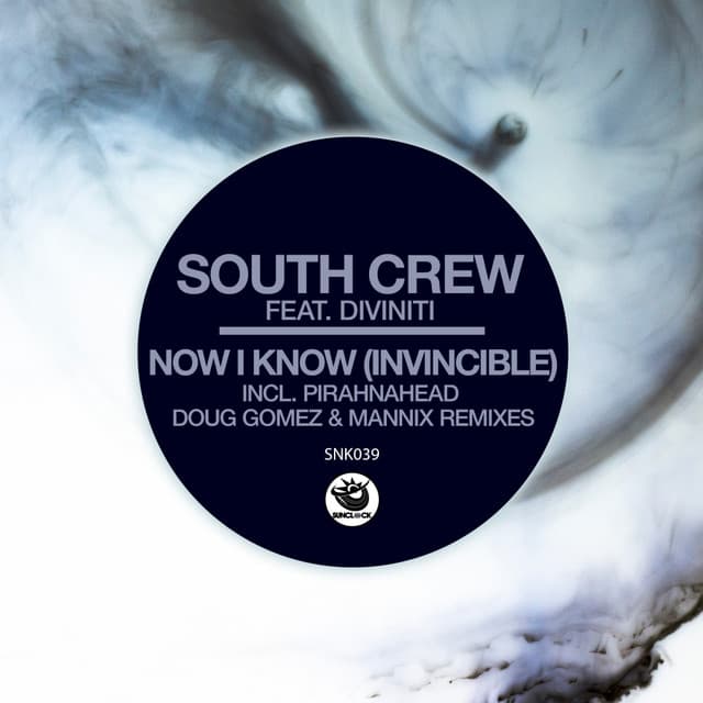 Now I Know (Invincible) - Pirahnahead Remix cover art