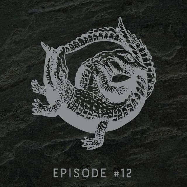 Episode #12 cover art