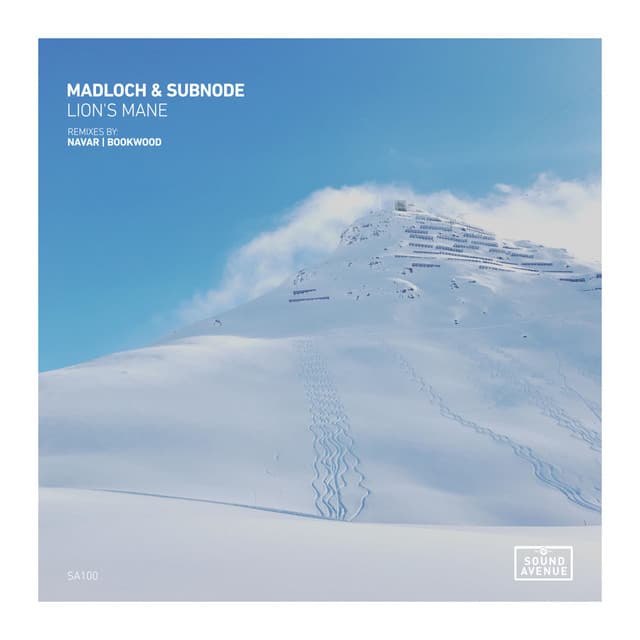 Lion's Mane - Bookwood Remix cover art