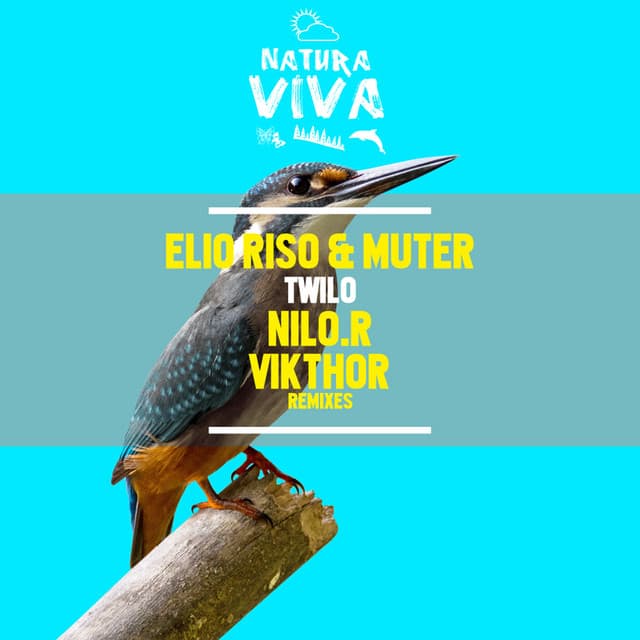 Twilo - NiLO.R Remix cover art