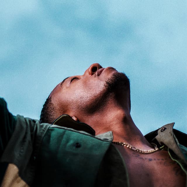 Drown cover art