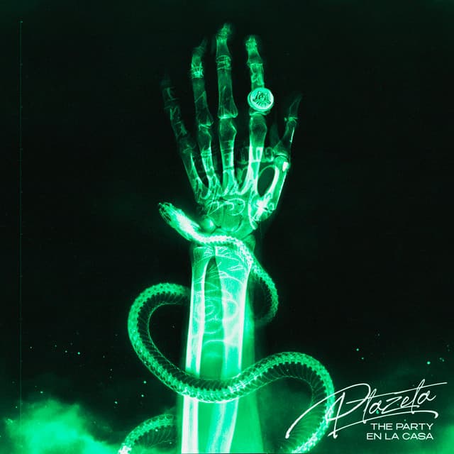 Fin de Fiesta (Mujer) cover art