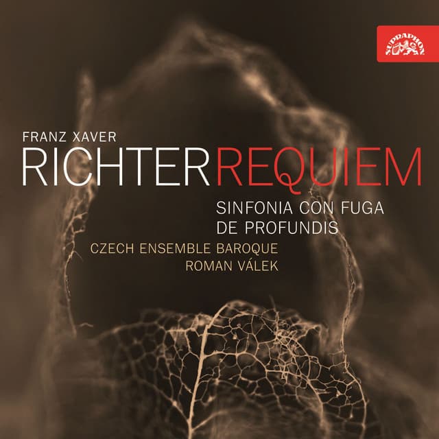 Roman Valek