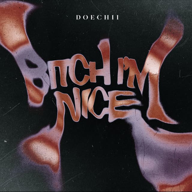 Bitch I'm Nice cover art