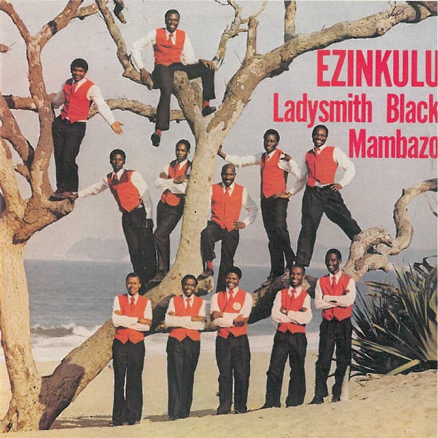 Bhayi Bhayi Lindiwe cover art