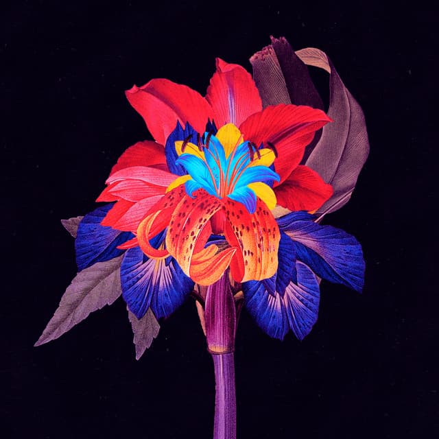Nervous Tics (Maceo Plex Remix) cover art