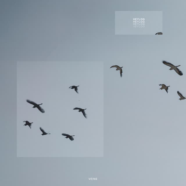 the widows home cover art