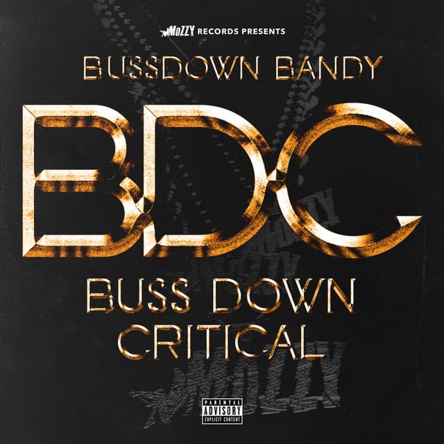 Bussdown Critical (feat. ShooterGang Jojo) cover art