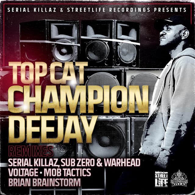 Champion Deejay - Brian Brainstorm Remix cover art