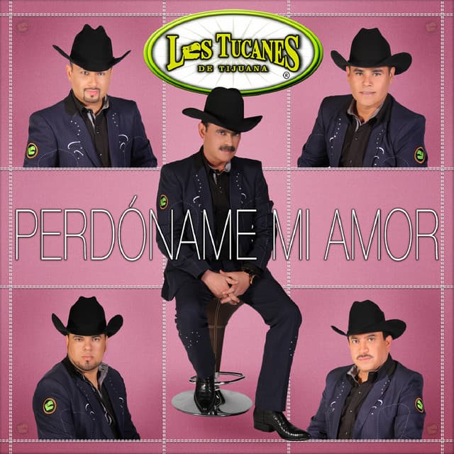 La Señora De Acero cover art