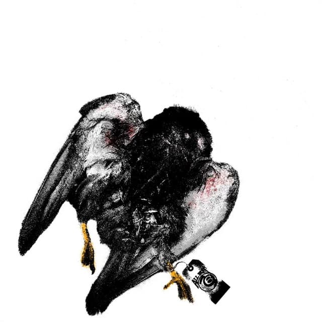 CREMATORY cover art