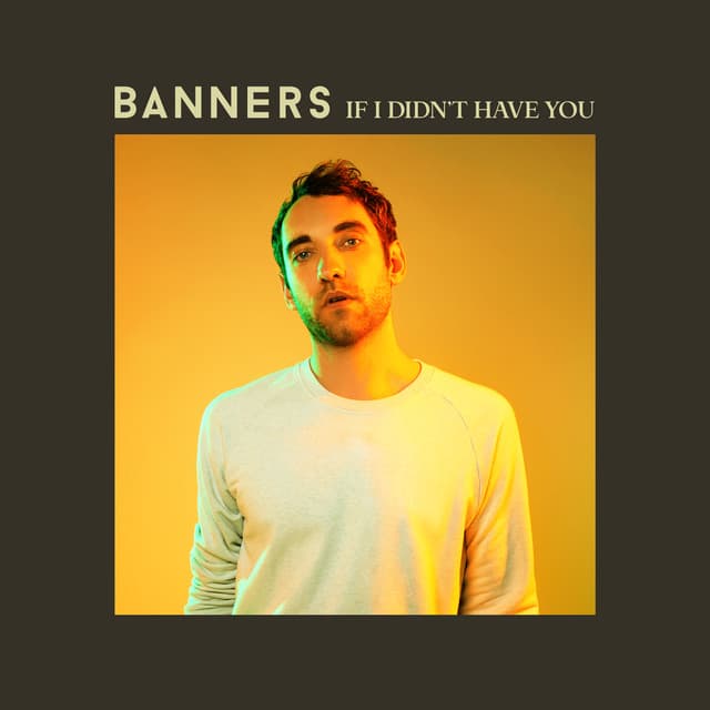 If I Didn't Have You cover art