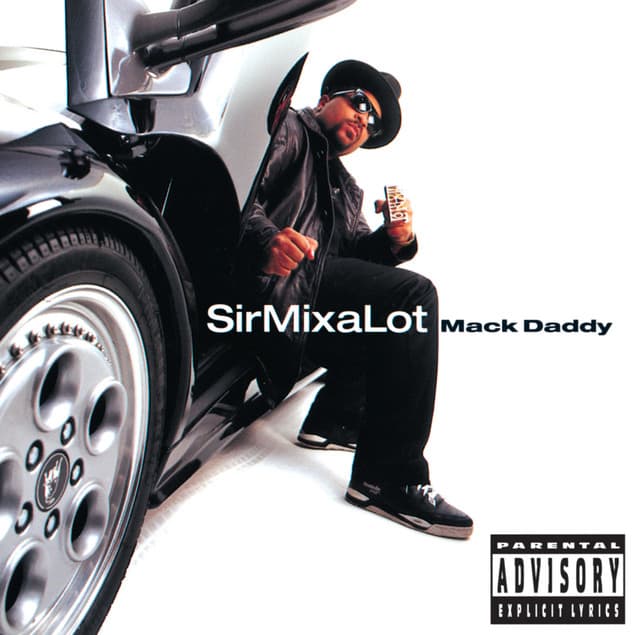 Baby Got Back cover art
