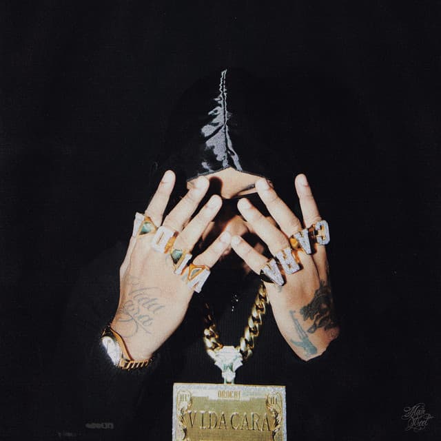 Várias Gostosas cover art