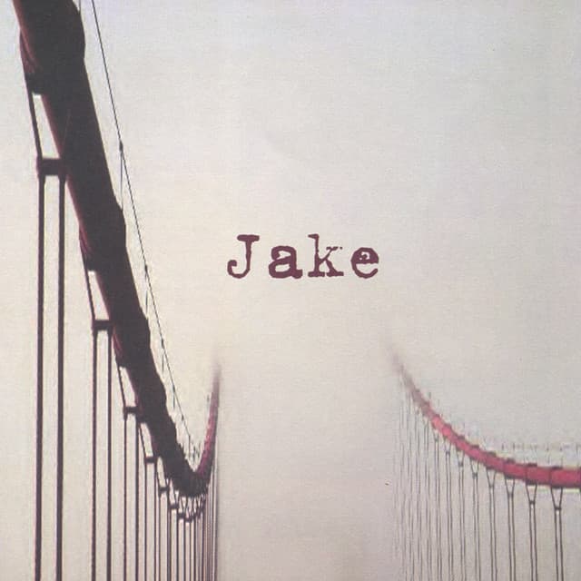 Bridge cover art